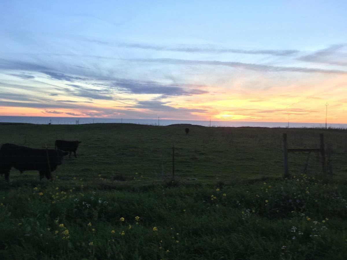 Pescadero Creek Inn 외부 사진